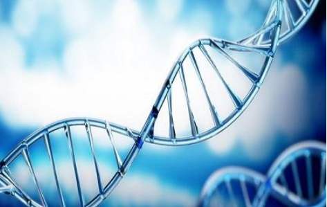 百傲2019再穫三證，進入DNA免提時(shi)代